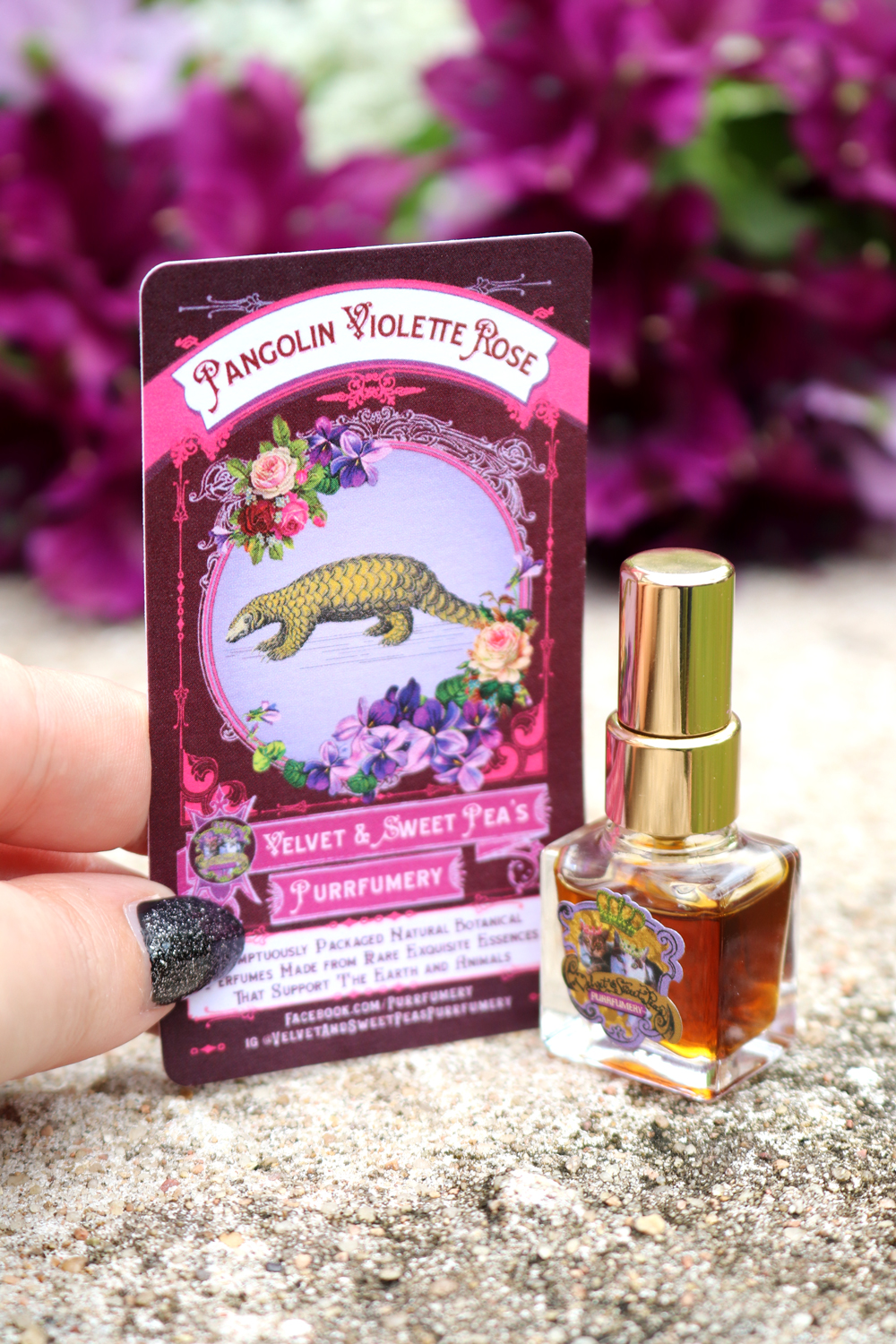 Save the Pangolins with this Luxury Fragrance from Velvet and Sweet Pea’s Purrfumery | My Beauty Bunny